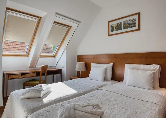 Tisza Balneum Hotel Hotell